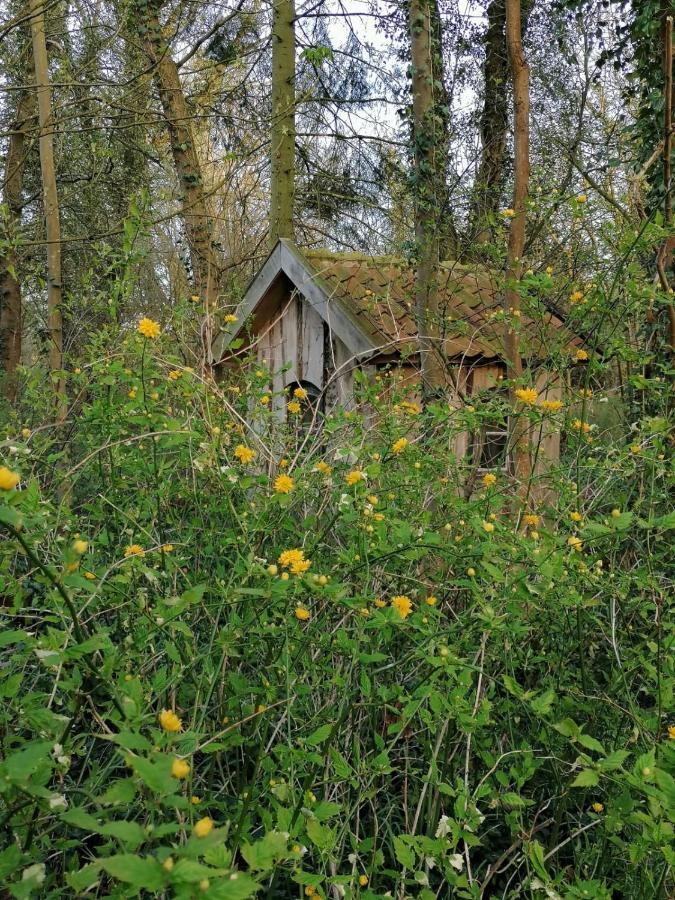 Ferienwohnung Ehemalige Revierfoersterei "Uns Luett" Kuhstorf ภายนอก รูปภาพ