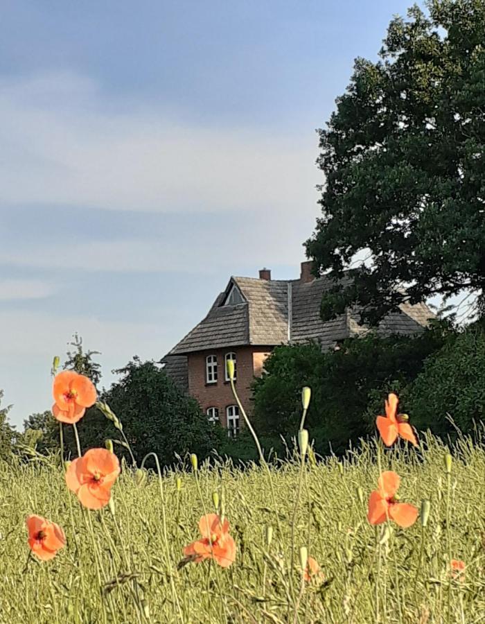 Ferienwohnung Ehemalige Revierfoersterei "Uns Luett" Kuhstorf ภายนอก รูปภาพ